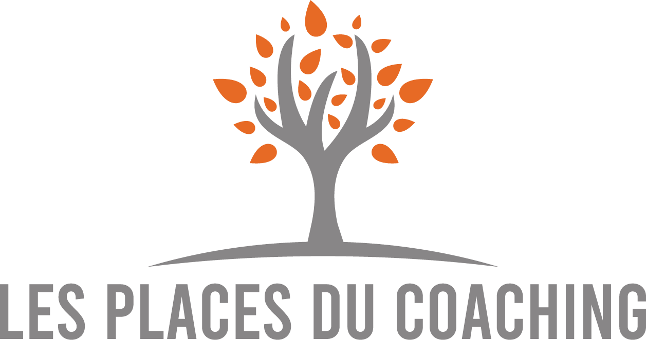logo Création d'un site vitrine pour Les Places du Coaching