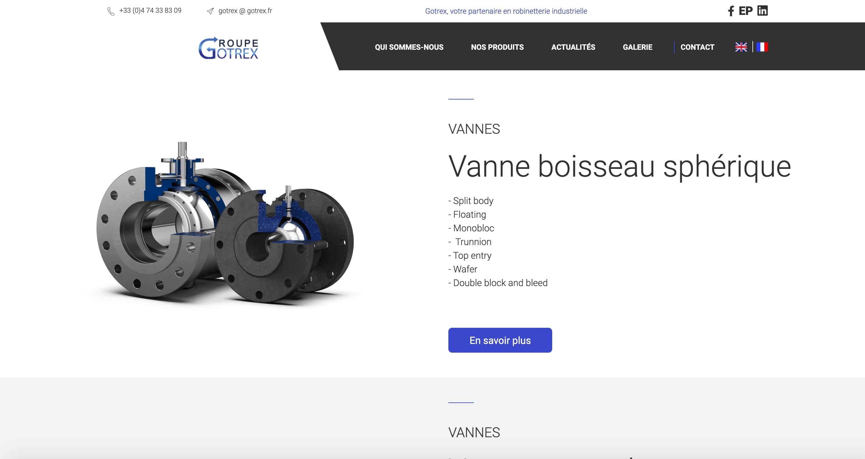 Création d'une duplication de sites vitrines pour le Groupe "Gotrex"