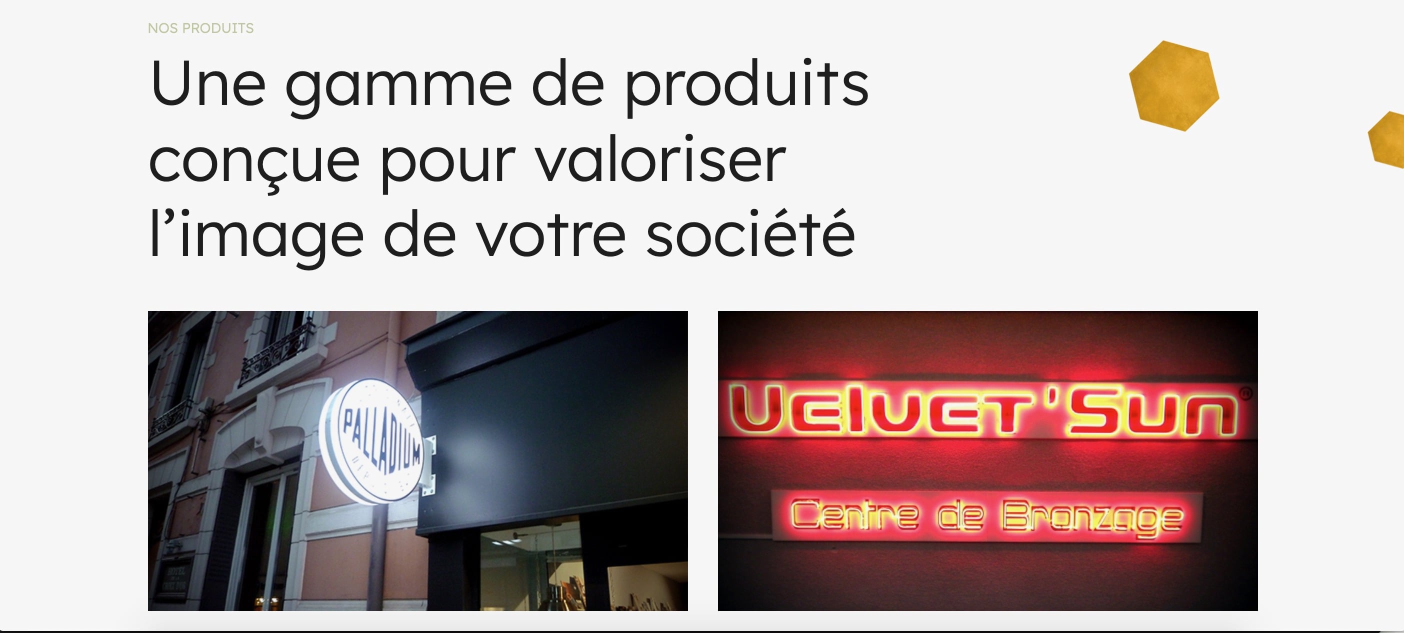 Conception du site vitrine Enseignes Pelletier